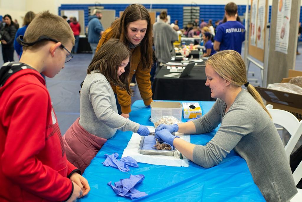 A UNE student works with kids during the CEN Brain Fair event