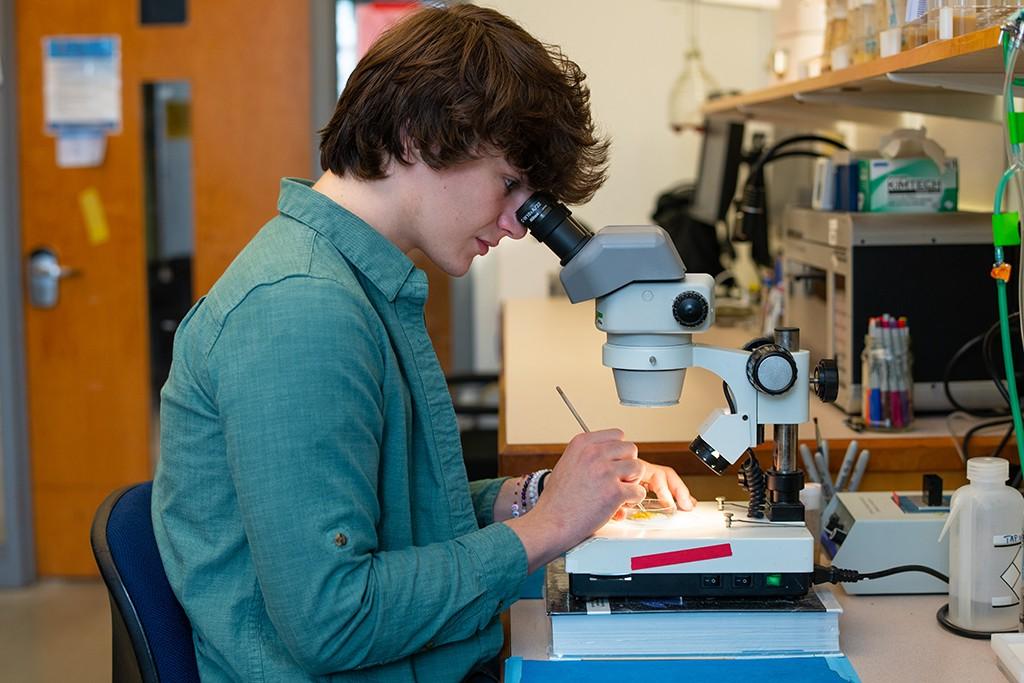 A student peers into a microscope