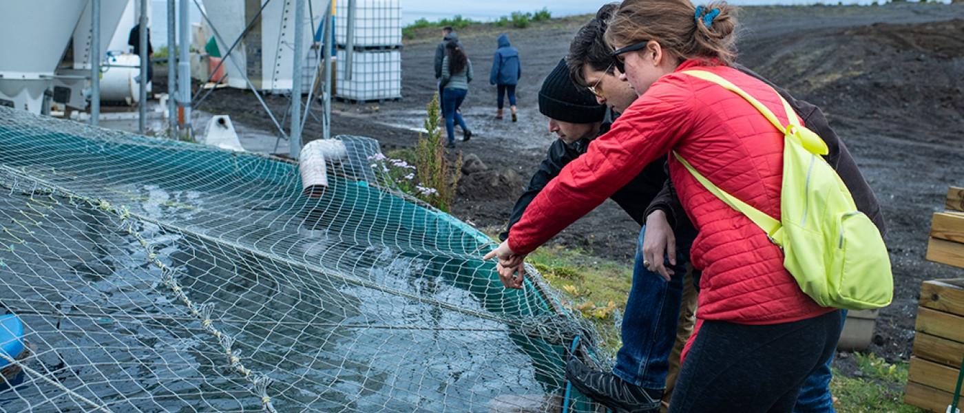 Two U N E students examine an outdoor aquaculture tank