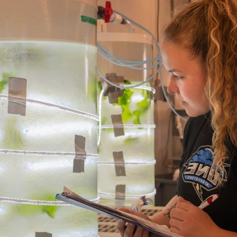 student researching sea lettuce in lab